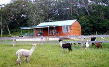  Accommodation 4U