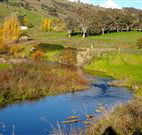 Ralda's Cottage - Accommodation 4U