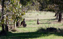 Amazing Country Escapes - Lakeview Luxury Cabins - Accommodation 4U 2