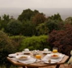 Barefoot Springs Bed and Breakfast - Accommodation 4U