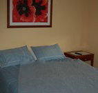 Busy Buzz - Accommodation 4U