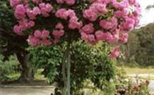 Eden Bed And Breakfast - Accommodation 4U 0