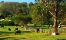 Giba Gunyah Country Cottages - Accommodation 4U 0