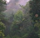 Havans Ecotourist Retreat - - Accommodation 4U