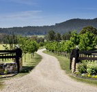 Pemberley Grange Hunter Valley Getaway - Accommodation 4U