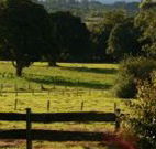 Pines on the Plateau - Accommodation 4U