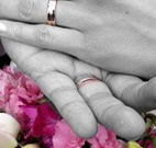 Salisbury Lodges and Araluen Restaurant - Accommodation 4U