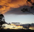 Silkwood B and B - Accommodation 4U