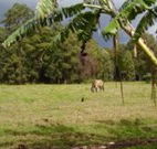 The Watertank Bed and Breakfast - Accommodation 4U