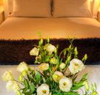 Winton Luxury Bed and Breakfast - Accommodation 4U