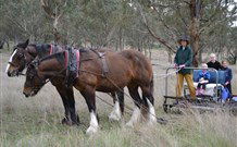 Yarralong BnB And Farm Stay - Accommodation 4U 4