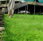 Snowy Valley Resort - Accommodation 4U