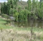 Cedar Grove - Accommodation 4U