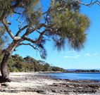 David Jones Cottage - Accommodation 4U