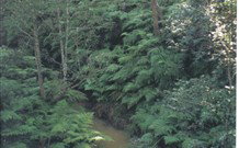 Eco Huts - Jervis Bay Getaways - Accommodation 4U 1