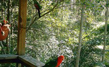 Eco Huts - Jervis Bay Getaways - Accommodation 4U 2