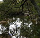 In Essentia Healing Hut of Kangaroo Valley - Accommodation 4U