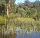 Fosterton Lodge Retreat - Accommodation 4U