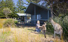 Norman Lindsay Cottage - Accommodation 4U 9