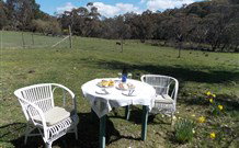 Pinegrove Cottage - Accommodation 4U 5