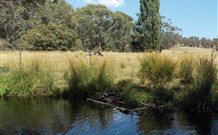 Pinegrove Cottage - Accommodation 4U 3