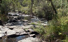 Pinegrove Cottage - Accommodation 4U 4