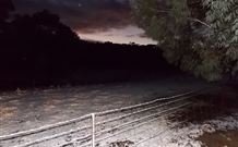 Pinegrove Cottage - Accommodation 4U 7