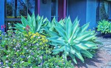 Jerrys Plains NSW Accommodation 4U