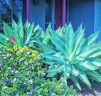 Retreat Homestead - Accommodation 4U