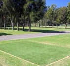 Spotted Gums on Hermitage - Accommodation 4U