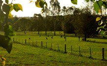 Stone Cottage Mittagong - Accommodation 4U 0