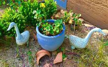 The Pines Pastoral - Accommodation 4U 5