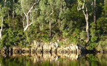 The Woods At Pokolbin - Accommodation 4U 5