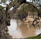 Valley View Cottage Hunter Valley - Accommodation 4U