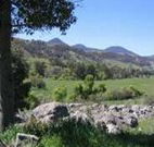 Woolshed Hill Estate - Accommodation 4U