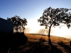 Yellowbox Country Cabins - Accommodation 4U 5