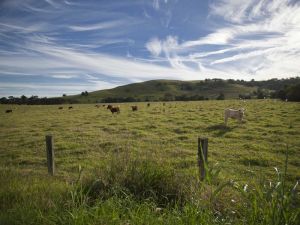 Annas Retreat - Accommodation 4U 0