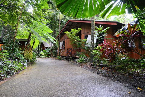 Cape Tribulation  - Accommodation 4U 4