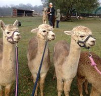 Bunyip Springs Farmstay - Accommodation 4U