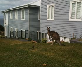 Hyams Beach Bed And Breakfast - Accommodation 4U 6