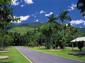 BIG4 Cairns Crystal Cascades Holiday Park - Accommodation 4U 1