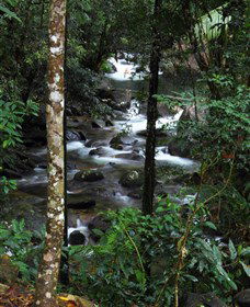 Daintree Secrets Waterfall Sanctuary - Accommodation 4U 1