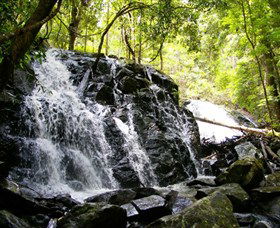 Bellthorpe Stays - Nature's Retreat - Accommodation 4U 1