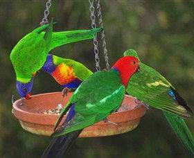 Bellthorpe Stays - Nature's Retreat - Accommodation 4U 3