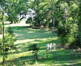 Bellthorpe Stays - Nature's Retreat - Accommodation 4U 2