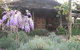 Barney Creek Vineyard Cottages - thumb 1