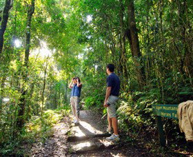O'Reilly's Rainforest Retreat - Accommodation 4U 2