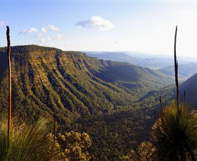 O'Reilly's Rainforest Retreat - Accommodation 4U 3