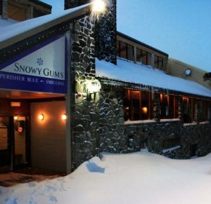 Snowy Gums Chalet - Accommodation 4U 1