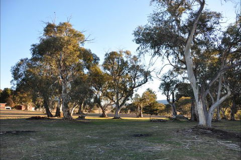 Braemar Bay Holiday Park - Accommodation 4U 5